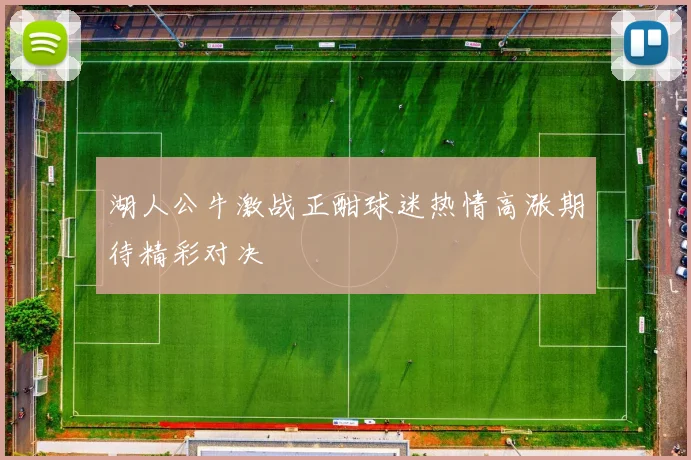 湖人公牛激战正酣球迷热情高涨期待精彩对决