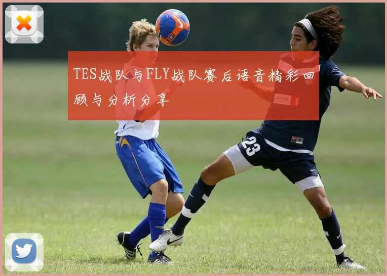 TES战队与FLY战队赛后语音精彩回顾与分析分享