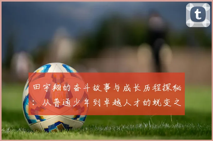 田宇翔的奋斗故事与成长历程探秘：从普通少年到卓越人才的蜕变之路