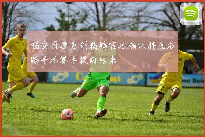 锡安再遭重创鹈鹕官方确认胖虎右膝手术赛季提前结束