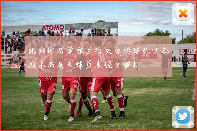 比利时与爱尔兰对决分析球队状态战术布局及球员表现全解析