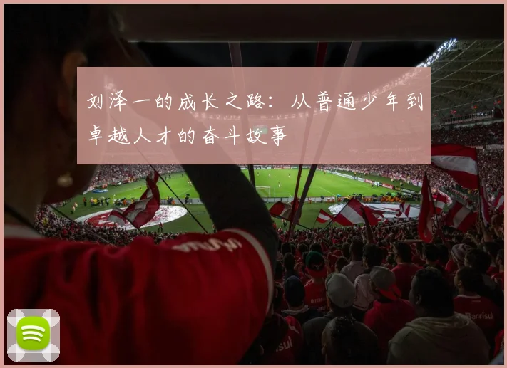 刘泽一的成长之路：从普通少年到卓越人才的奋斗故事