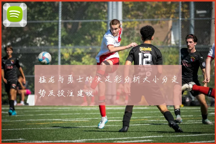 猛龙与勇士对决足彩分析大小分走势及投注建议