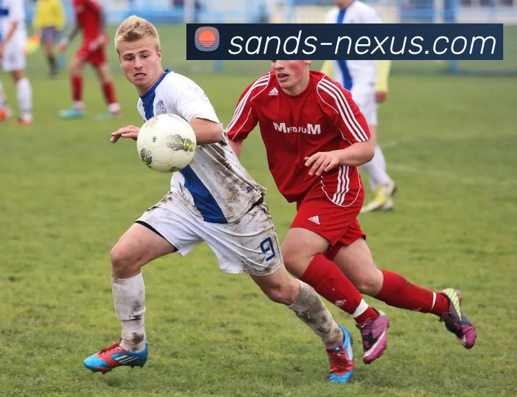 精彩回顾奥地利与波兰对决视频集锦全场亮点一网打尽